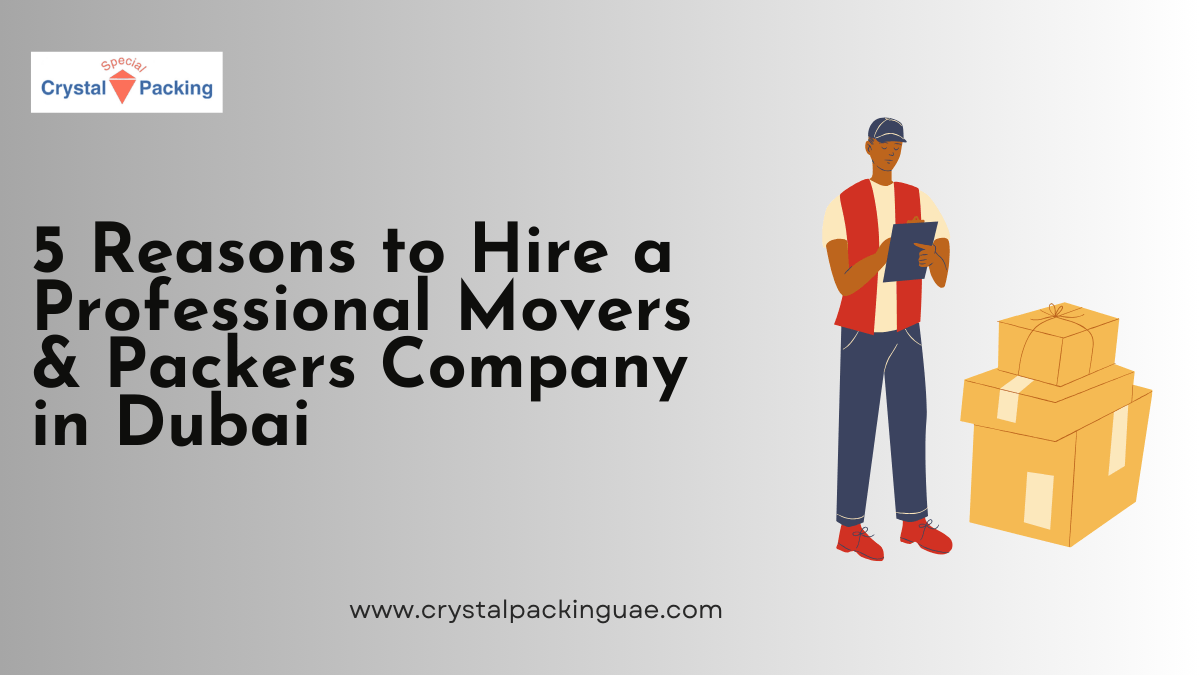 5 Reasons to Hire a Professional Movers & Packers Company in Dubai